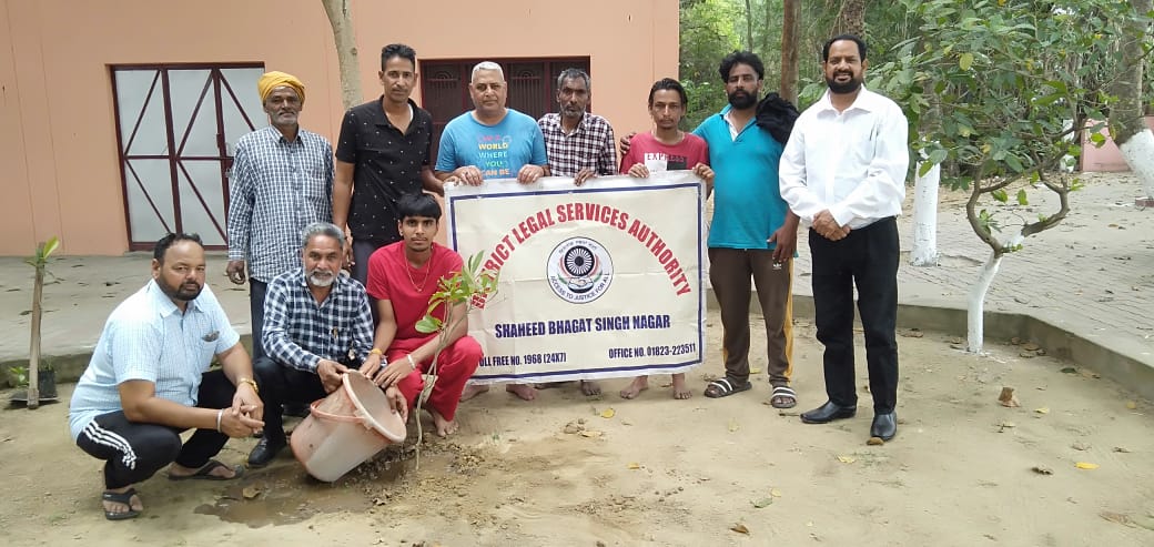 Saplings were planted by the District Legal Services Authority at village Mubarakpur